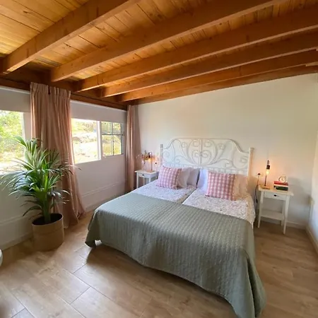Apartamento Acogedor En El Norte De La Isla * Icod De Los Vinos